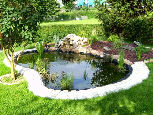 Le bassin de Yannick (59)