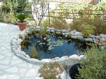 bassin de jardin