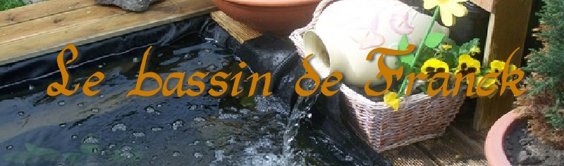 bassin de jardin de Franck