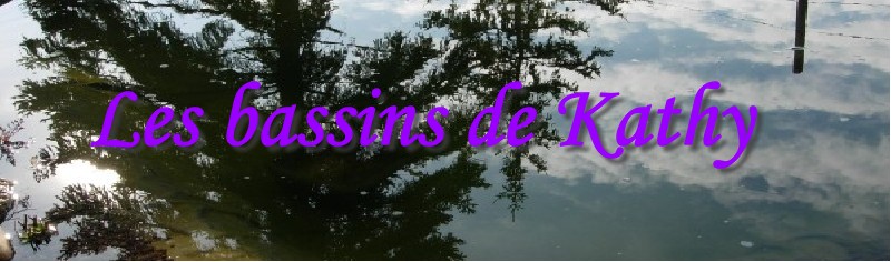 les bassins de jardins de Kathy78